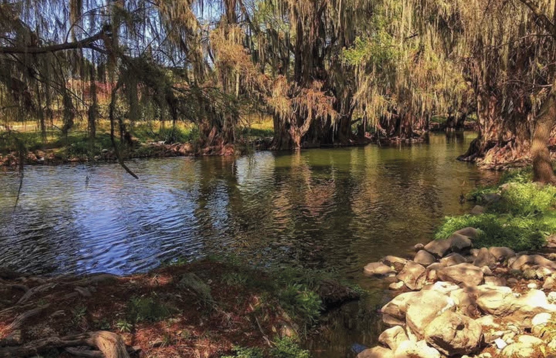 06_05_Tezontepec_de_Aldama