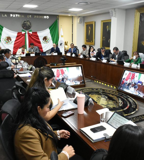 Comparecencia 20.11.2025 Agricultura (22)