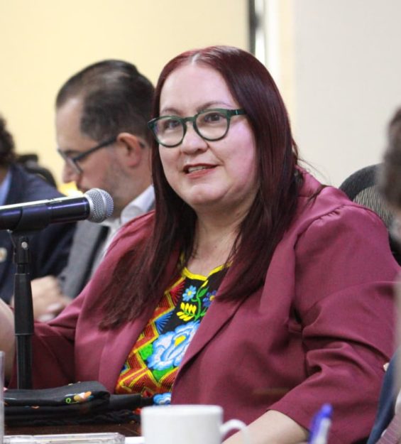 Comparecencia 20.11.2025 Cultura (115)