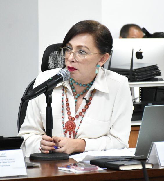 Comparecencia 26.11.2025 Medio Ambiente (140)