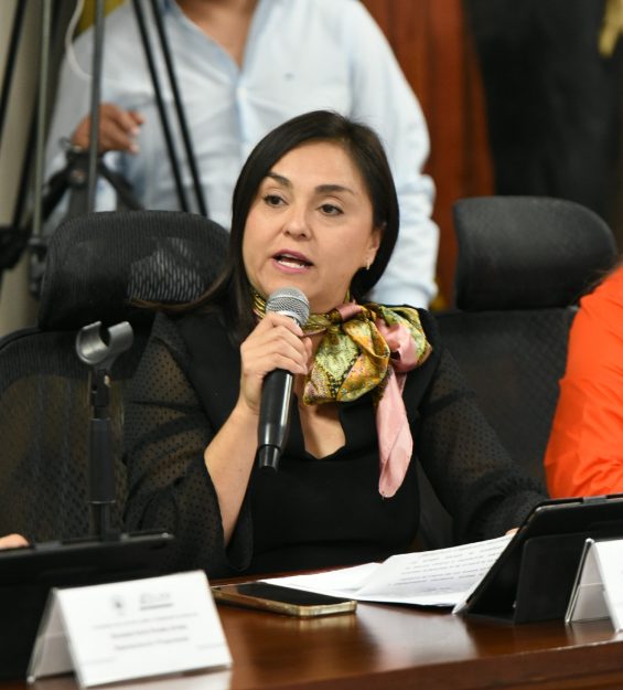 Comparecencia 26.11.2025 Medio Ambiente (167)