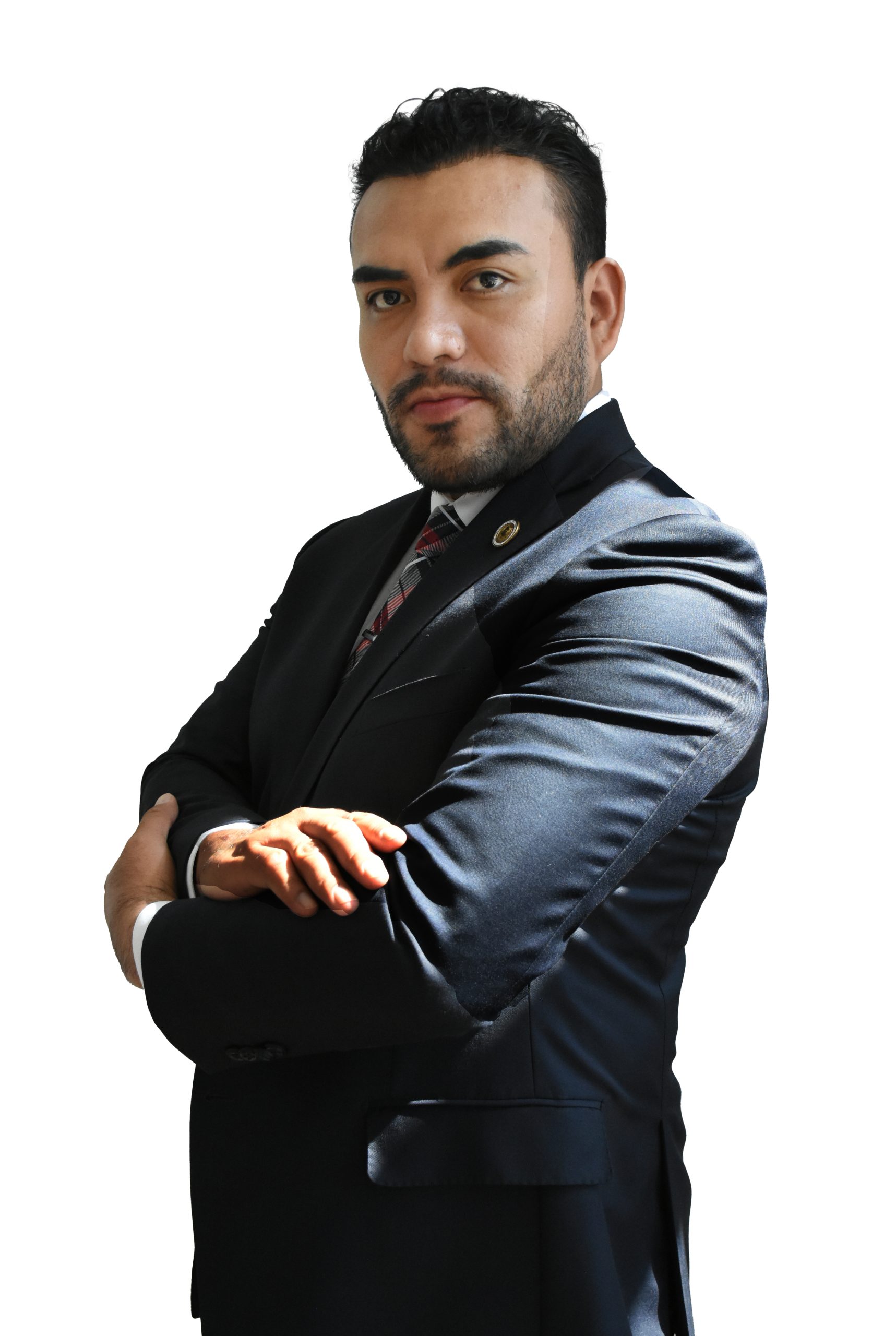 Descripción de la imagen