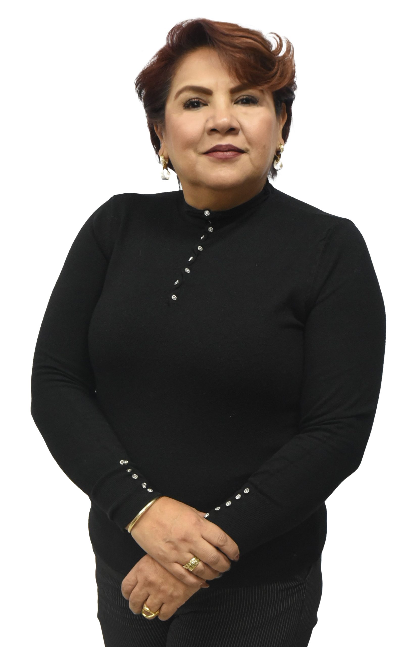 Descripción de la imagen