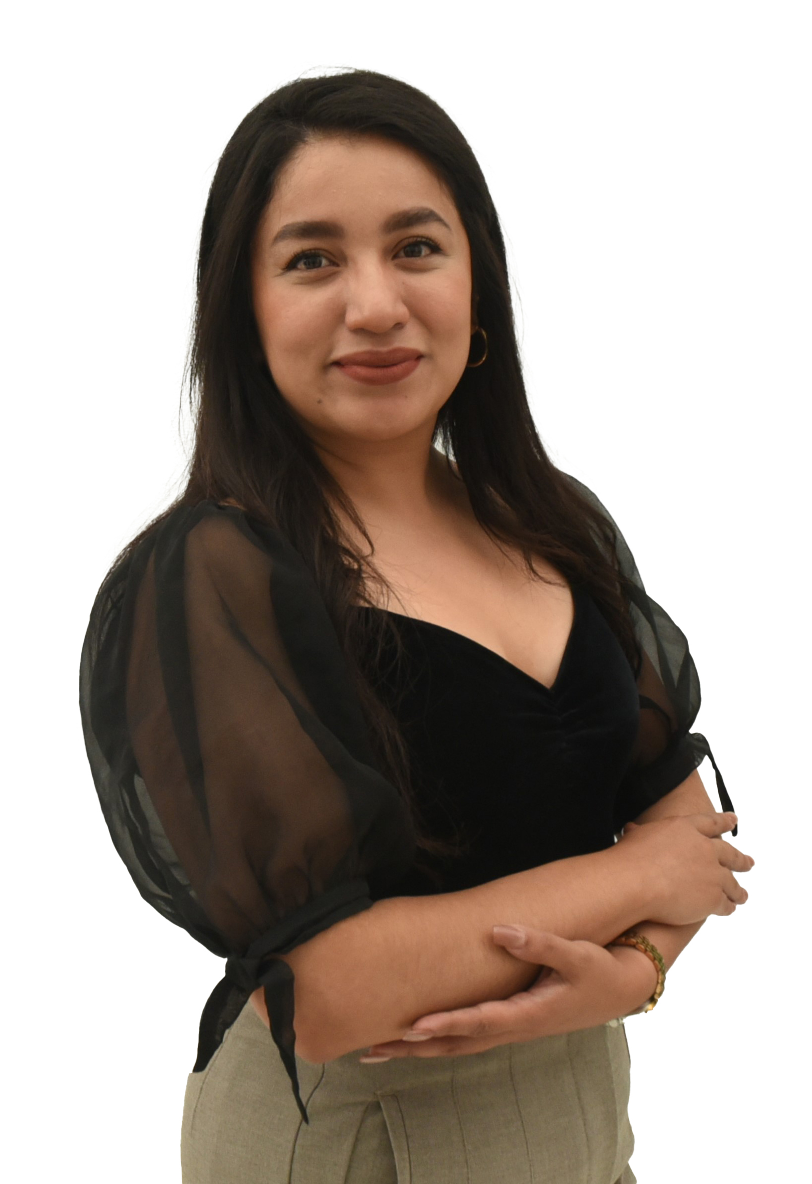 Descripción de la imagen