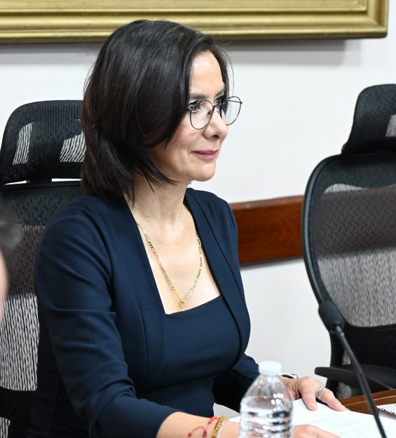 28.01.2026 Informe ITAIH (21)