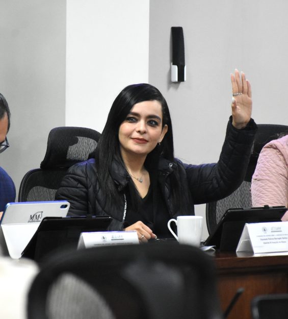 Sesión 15.12.2025 ordinaria (17)