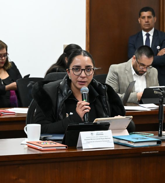 Sesión 21.01.2026 Permanente (25)