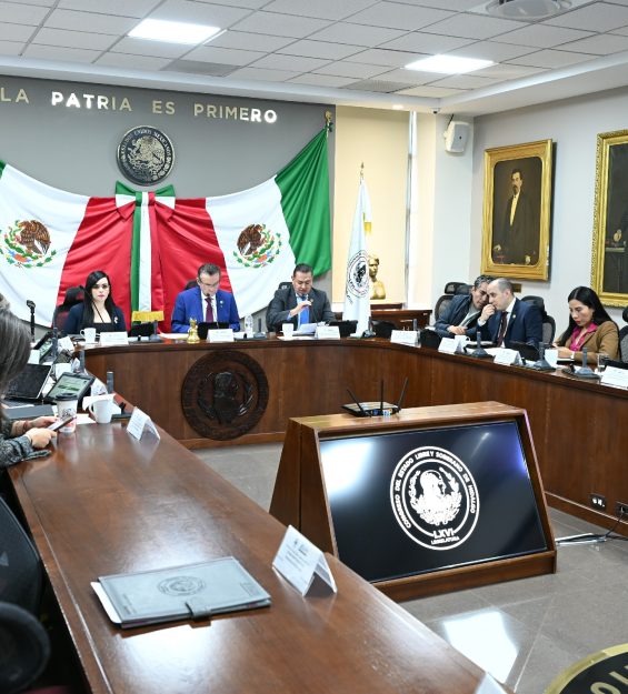 Sesión 28.01.2026 Diputación Permanente (1)