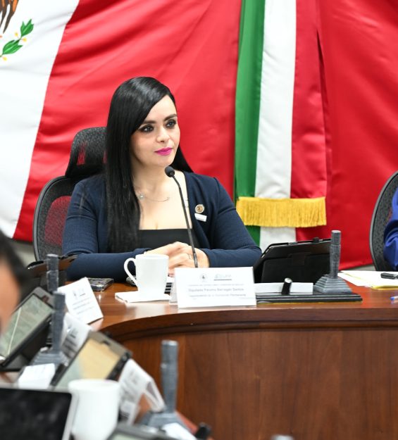 Sesión 28.01.2026 Diputación Permanente (20)