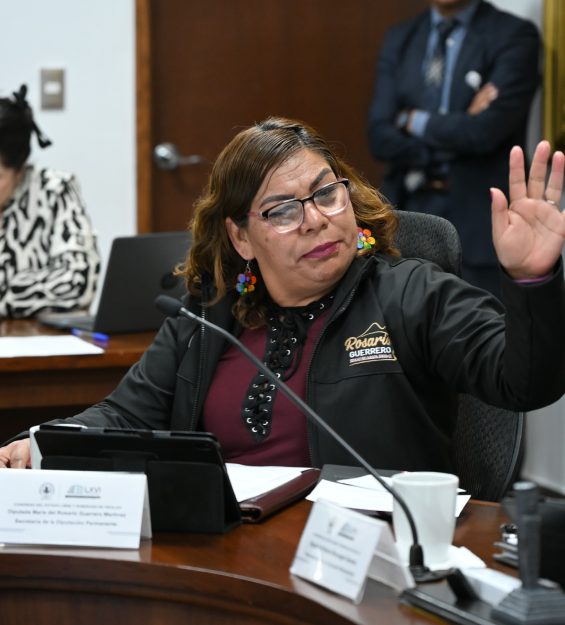 Sesión 28.01.2026 Diputación Permanente (33)