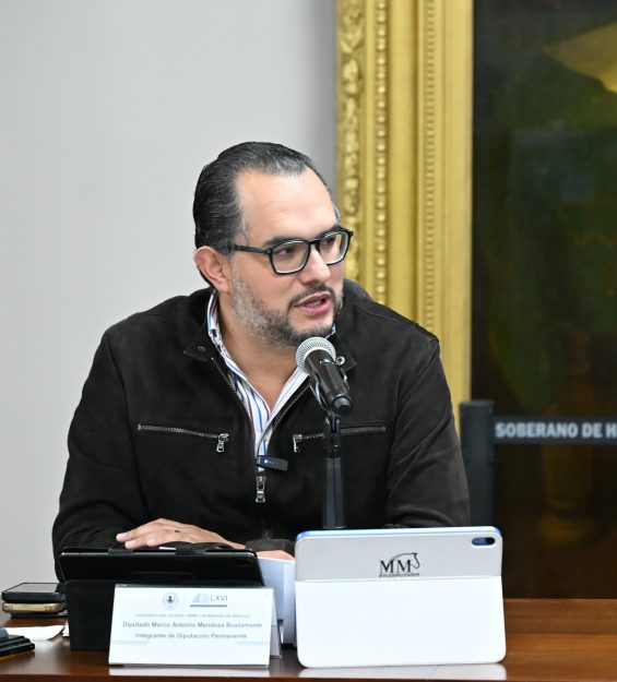 Sesión 28.01.2026 Diputación Permanente (41)