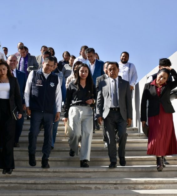 10.02.2026 Visita C5 (1)