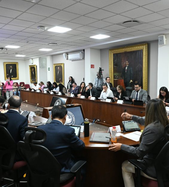 Sesión 17.02.2026 ordinaria (26)