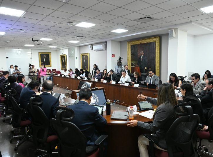 Sesión 17.02.2026 ordinaria (26)