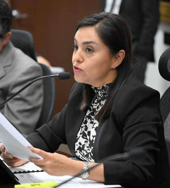 Sesión 17.02.2026 ordinaria (34)