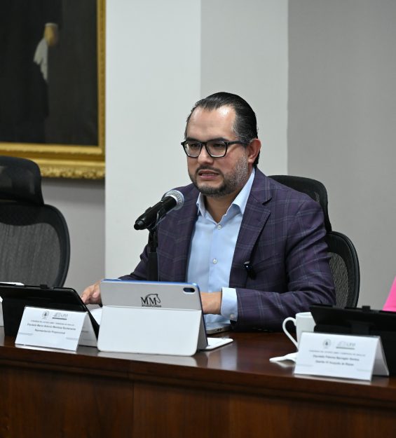 Sesión 17.02.2026 ordinaria (44)