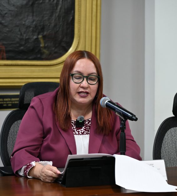 Sesión 17.02.2026 ordinaria (83)