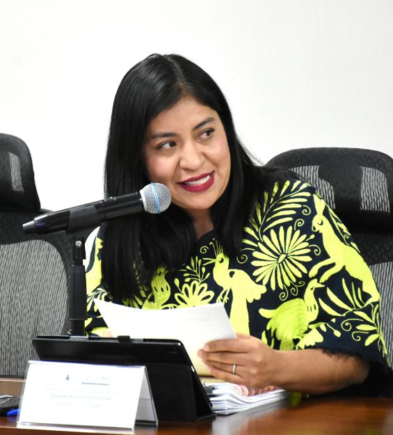 Sesión 18.02.2026 ordinaria (85)