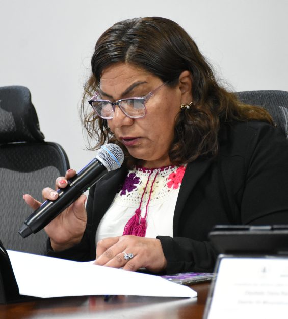 Sesión 18.02.2026 ordinaria (92)