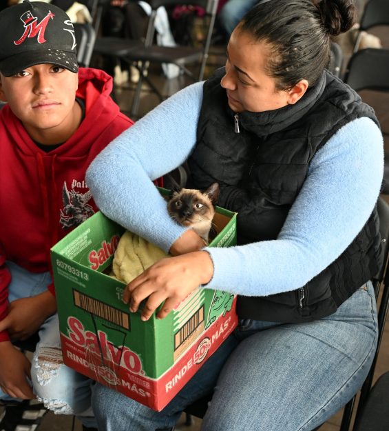 30.03.2026 Campaña esterilización Felina y canina (40)