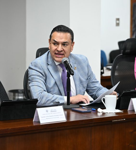 Sesión 24.03.2026 Ordinaria (84)