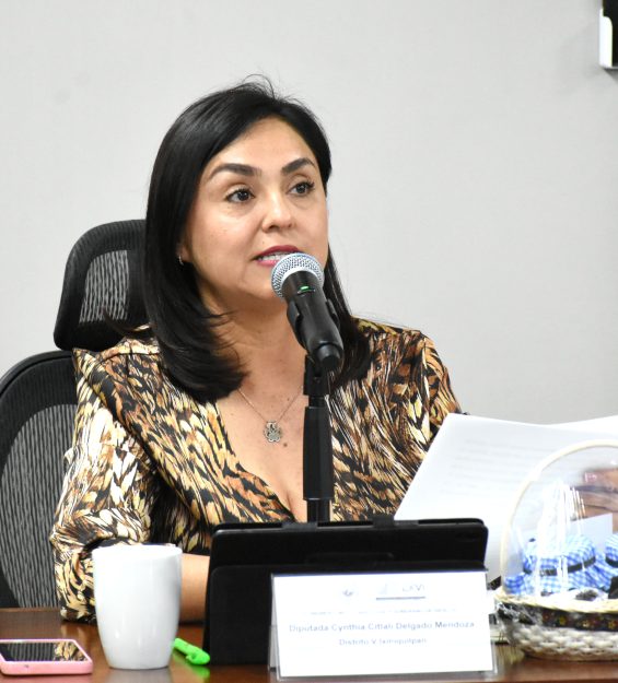 Sesión 14.04.2026 Ordinaria (89)