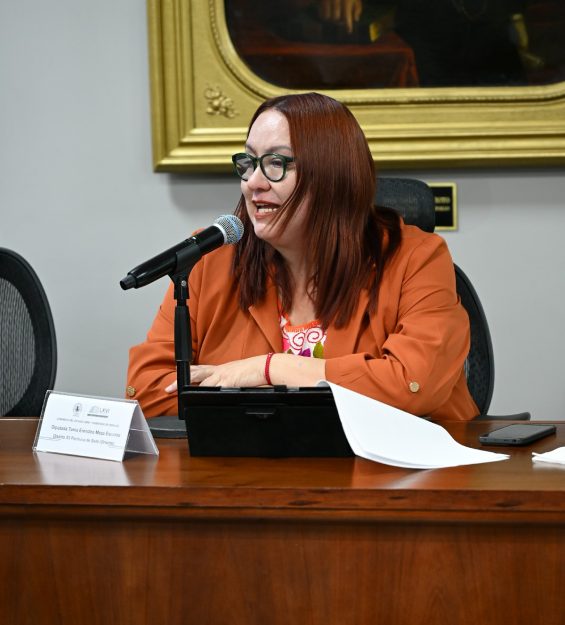 Sesión 21.04.2026 Ordinaria (64)