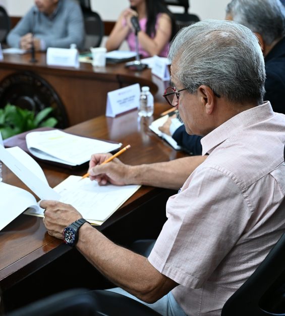 14.05.2026 Comité Técnico del Consejo Consultivo (14)