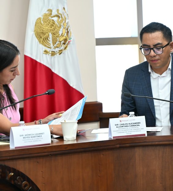 14.05.2026 Comité Técnico del Consejo Consultivo (2)