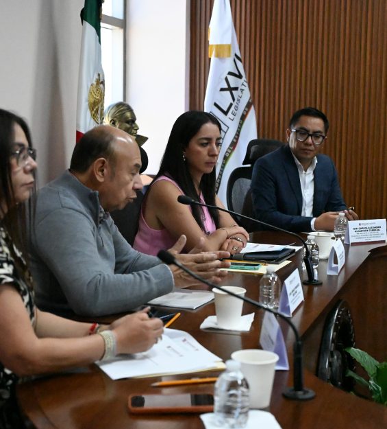 14.05.2026 Comité Técnico del Consejo Consultivo (25)