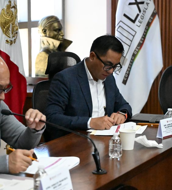 14.05.2026 Comité Técnico del Consejo Consultivo (30)