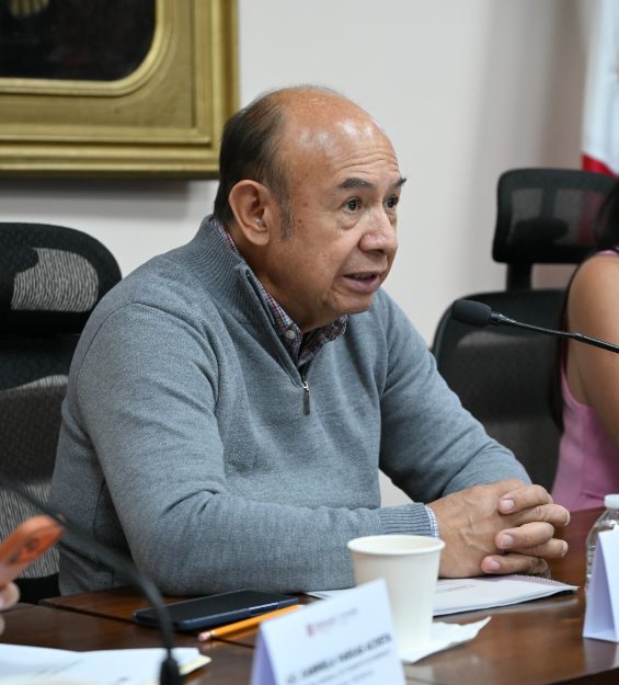 14.05.2026 Comité Técnico del Consejo Consultivo (5)