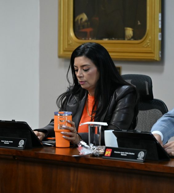 Sesión 04.08.2026 Permanente (9)
