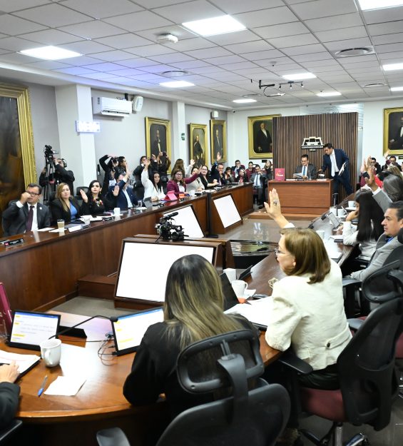 Sesión 12.10.2026 Comparecencia SEGOB (148)