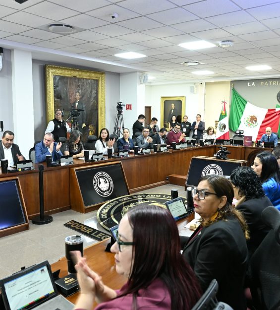Sesión 15.10.2026 Comparecencia Seguridad Pública (9)